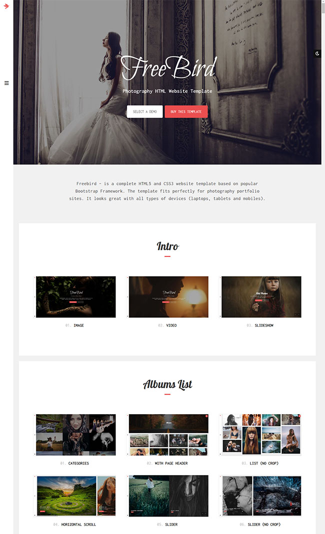 摄影作品展示网站模板