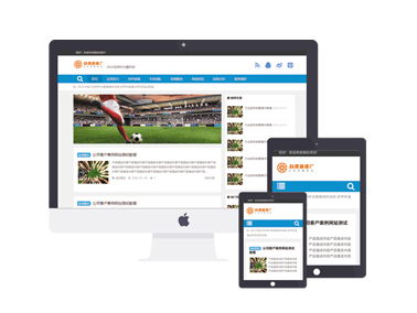 蓝色简洁自适应体育新闻世界杯资讯网站迅睿主题模版下载