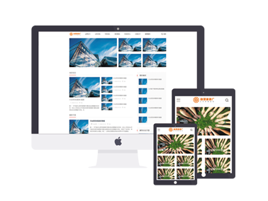 灰白色简洁大气宽屏站群资讯模版科技培训迅睿模版主题下载