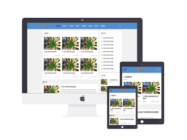 蓝色简洁大气科技培训教程自媒体新闻资讯体育赛事迅睿网站模版主题